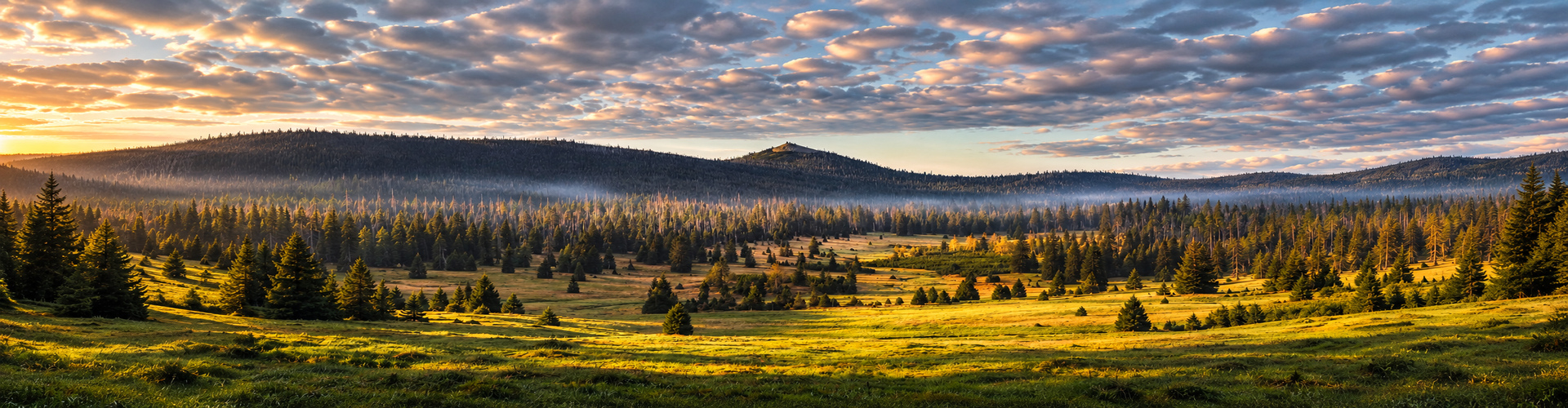 Wellness Apartmán PILA KVILDA | Ubytování Kvilda, Šumava - 1