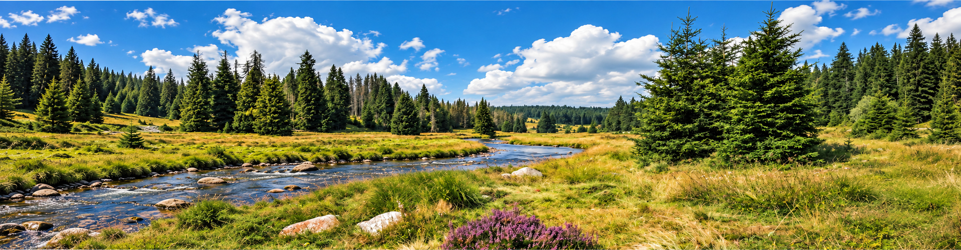 Wellness Apartmán PILA KVILDA | Ubytování Kvilda, Šumava - 2