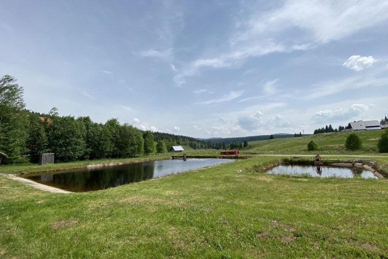 Sommerschwimmbad Vimperk, Sušice, Kvilda - foto č. 3