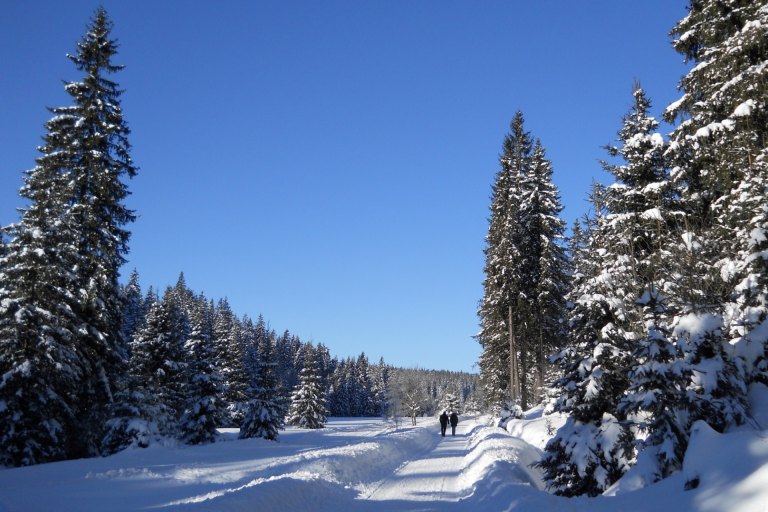 Udržované zimní trasy pro pěší turisty - foto č. 2