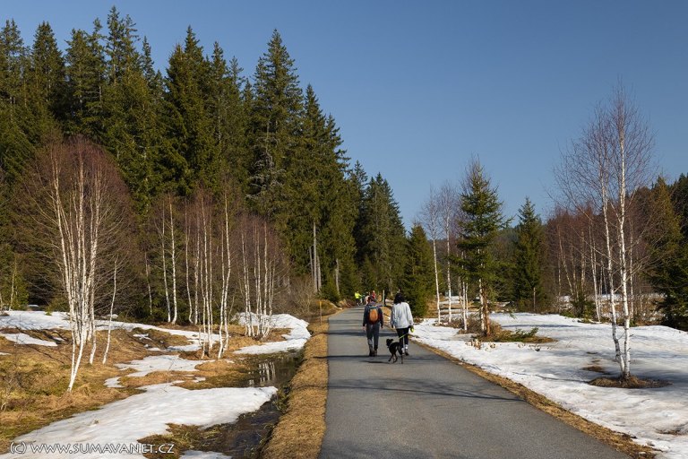 Udržované zimní trasy pro pěší turisty - foto č. 3
