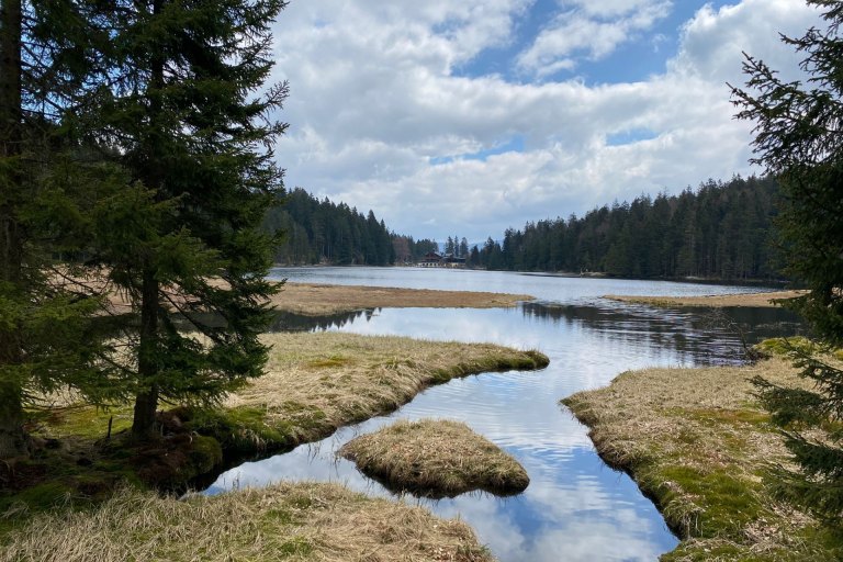 Sommer - foto č. 21