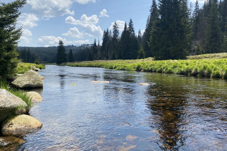 Sommer - foto č. 22