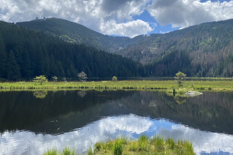 Sommer - foto č. 35